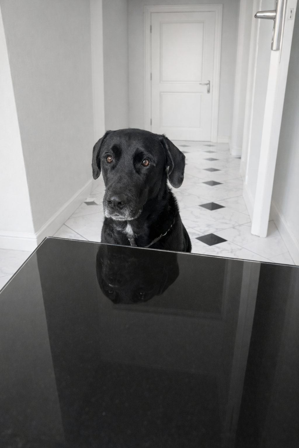 Rolex seated before the black table, composing his petition