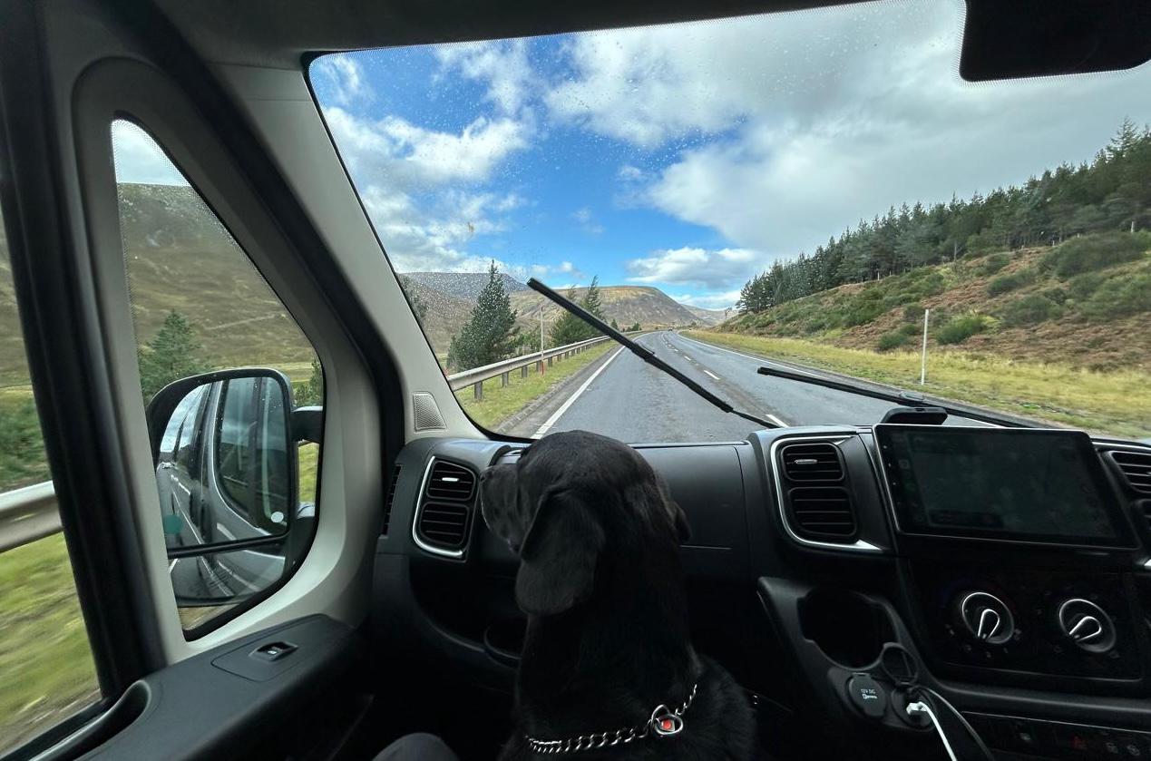 Rolex riding in the van, gazing ahead like a philosopher